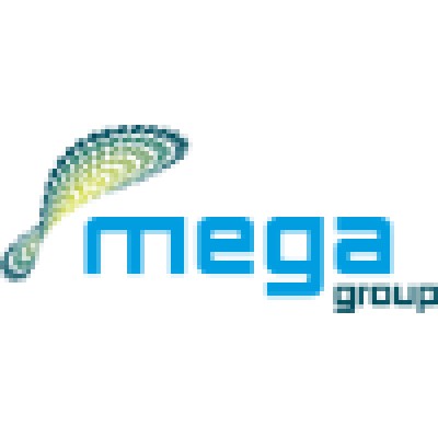 MegaGroup
