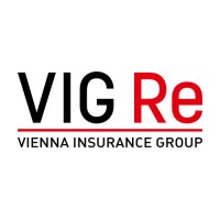 VIG Re